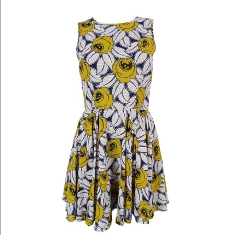 Maison Jules Fit Flare Rose Sleeveless Dress